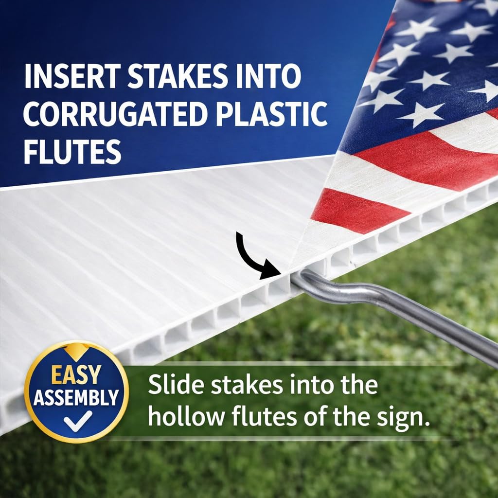 View 6