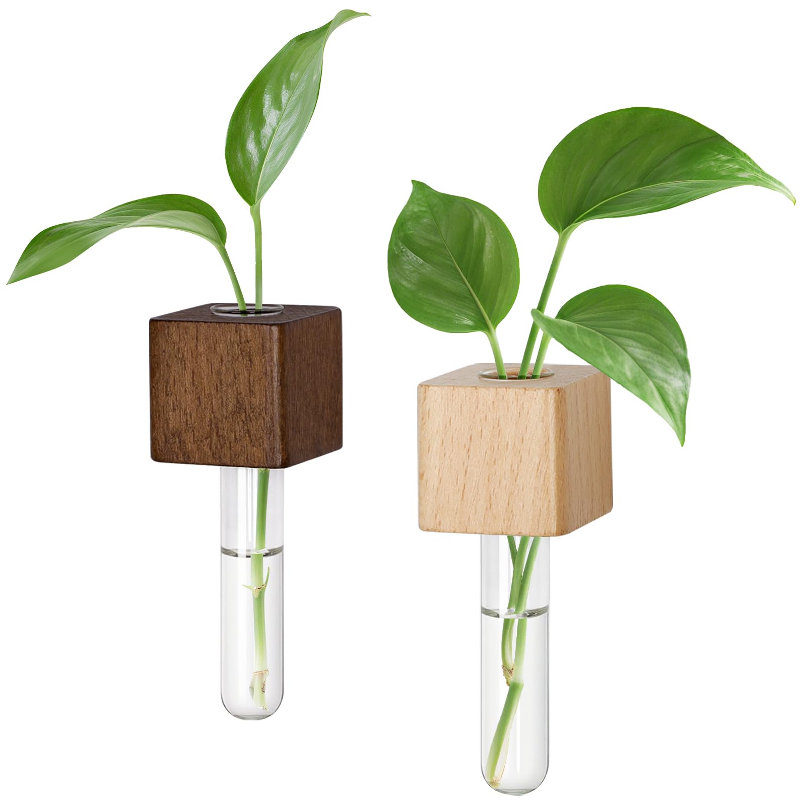  ECONOMICS EXPERIMENT/Blankmag/花瓶 Amazon.com: Magnetic Test Tube Flower Vases for Refrigerator, Set