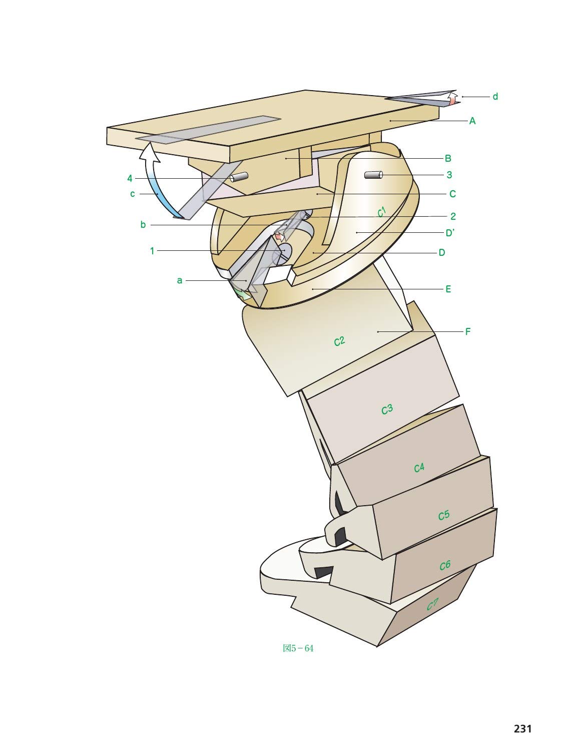 カパンディ関節の生理学 III 脊椎・体幹・頭部 カパンジー機能解剖学 III 脊椎・体幹・頭部 原著第7版/医歯薬