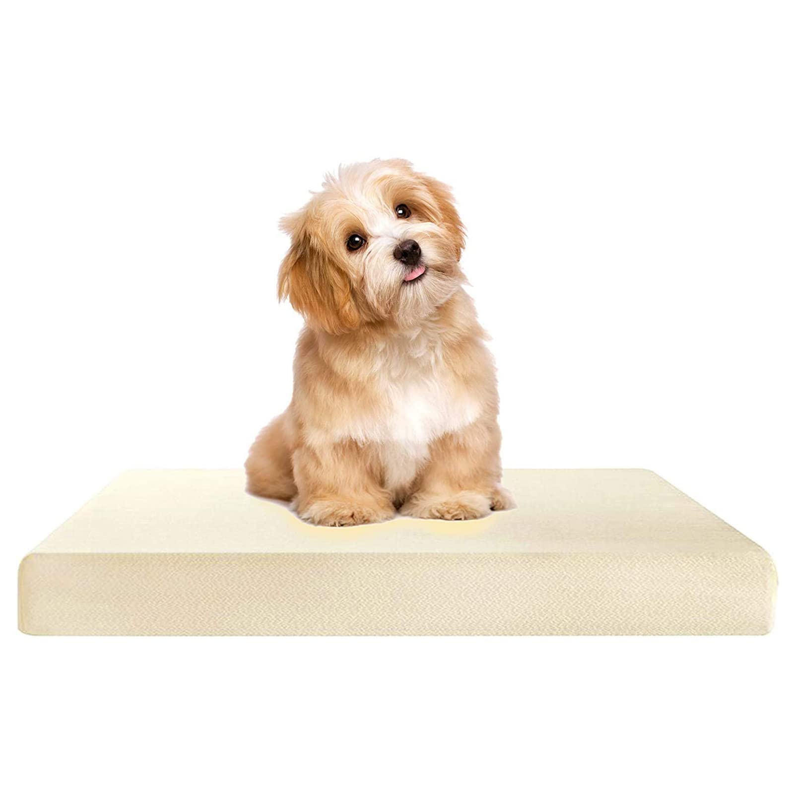 Brillars® Premium 100% Visco Elastic Cool Gel Memory Foam Dog Bed Pressure Relief and Improved Sleep Soft Comfortable, Supportive & Anti-Allergic (48'' x 36'' x 4'')