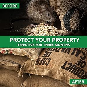 Mice-Repellent-Rodent-Repellent-OutdoorIndoor-Rat-Repellent-Balls-Mouse-Repellent-Peppermint-for-House-Peppermint-to-Repel-Mice-and-Rats-RV-Rat-Repellent-Keep-Mice-Away-8Pcs - Cucciolini Doodles   Mice-Repellent-Rodent-Repellent-OutdoorIndoor-Rat-Repellent-Balls-Mouse-Repellent-Peppermint-for-House-Peppermint-to-Repel-Mice-and-Rats-RV-Rat-Repellent-Keep-Mice-Away-8Pcs