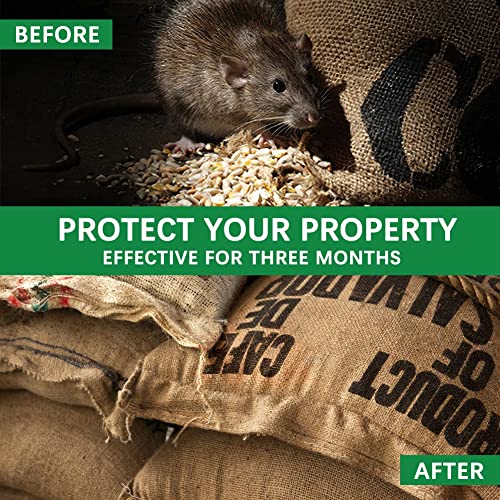 Mice-Repellent-Rodent-Repellent-OutdoorIndoor-Rat-Repellent-Balls-Mouse-Repellent-Peppermint-for-House-Peppermint-to-Repel-Mice-and-Rats-RV-Rat-Repellent-Keep-Mice-Away-8Pcs - Cucciolini Doodles   Mice-Repellent-Rodent-Repellent-OutdoorIndoor-Rat-Repellent-Balls-Mouse-Repellent-Peppermint-for-House-Peppermint-to-Repel-Mice-and-Rats-RV-Rat-Repellent-Keep-Mice-Away-8Pcs