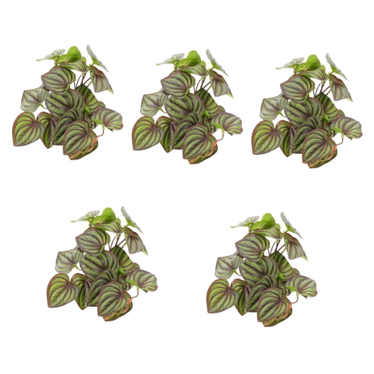BESPORTBLE 5 Accessori Per Rettili Piante Decorative Finte Ornamento Artificiale Sicuro