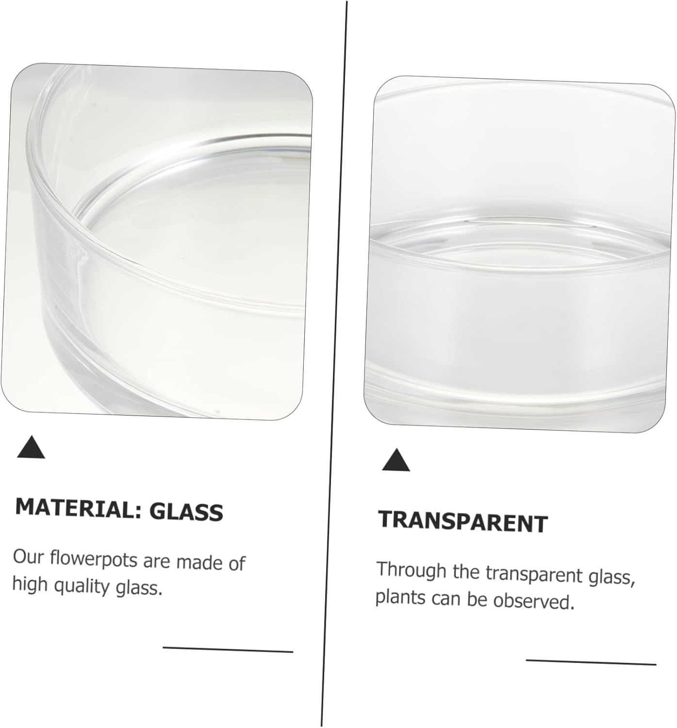 Glass Flower Pot Hydroponics Plant Planter Plant Pots for Indoor Decor