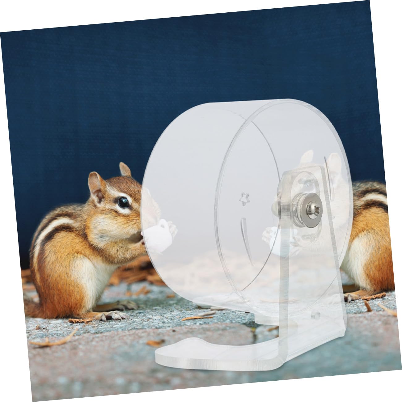 ibasenice Laufrad für Hamster Geräuschloses Hamsterrad mit Ständer Leises Trainingsrad für Kleintiere Passt in Käfige