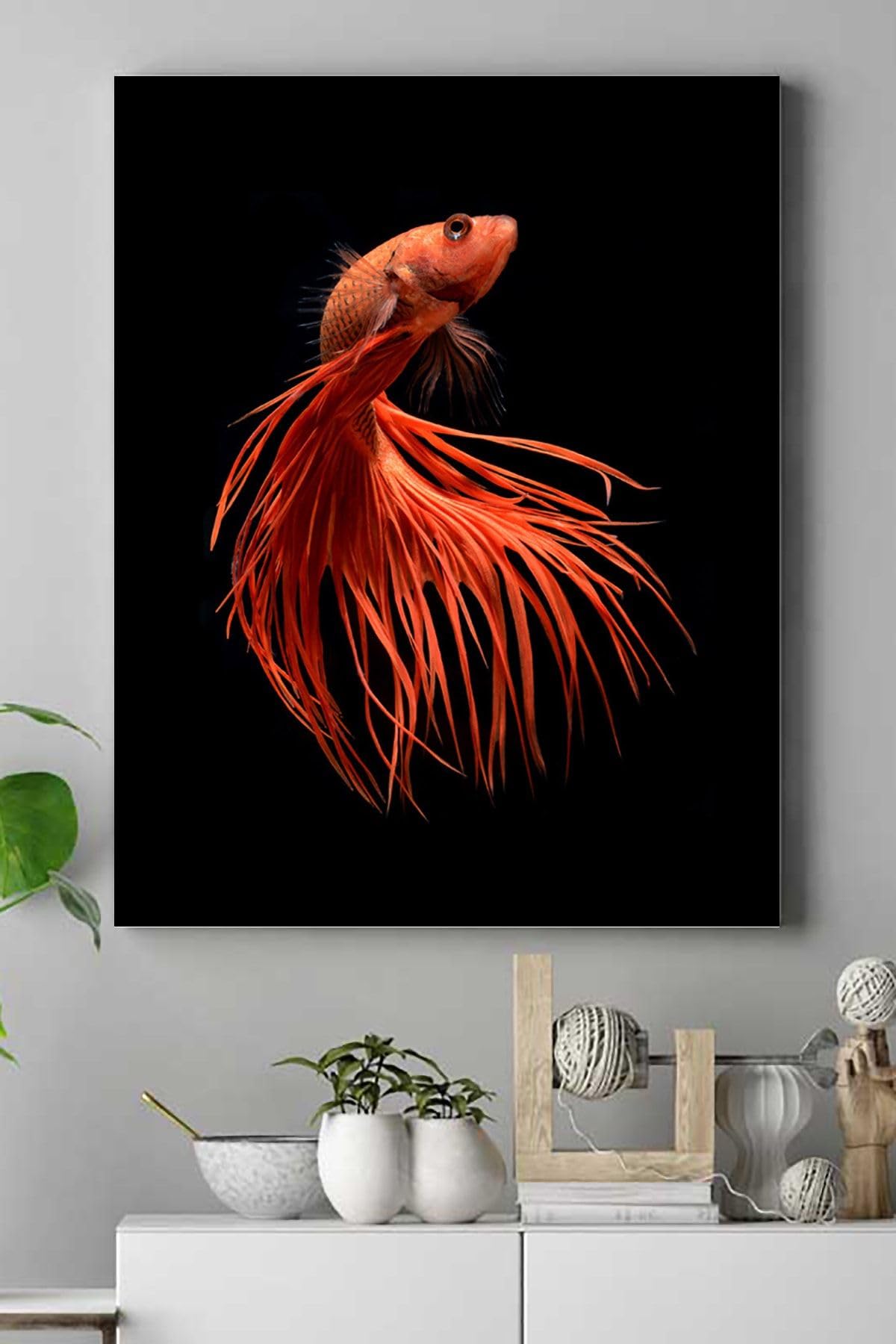 Postermanya (pster17769) Sanatsal Balık Hayvan Kanvas Tablo 3 30 x 40