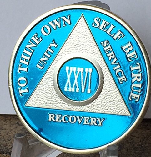 26 Year Xxvi Blue Silver Plated Aa Sobriety Medallion Chip & Vinyl Protector #TOP2
