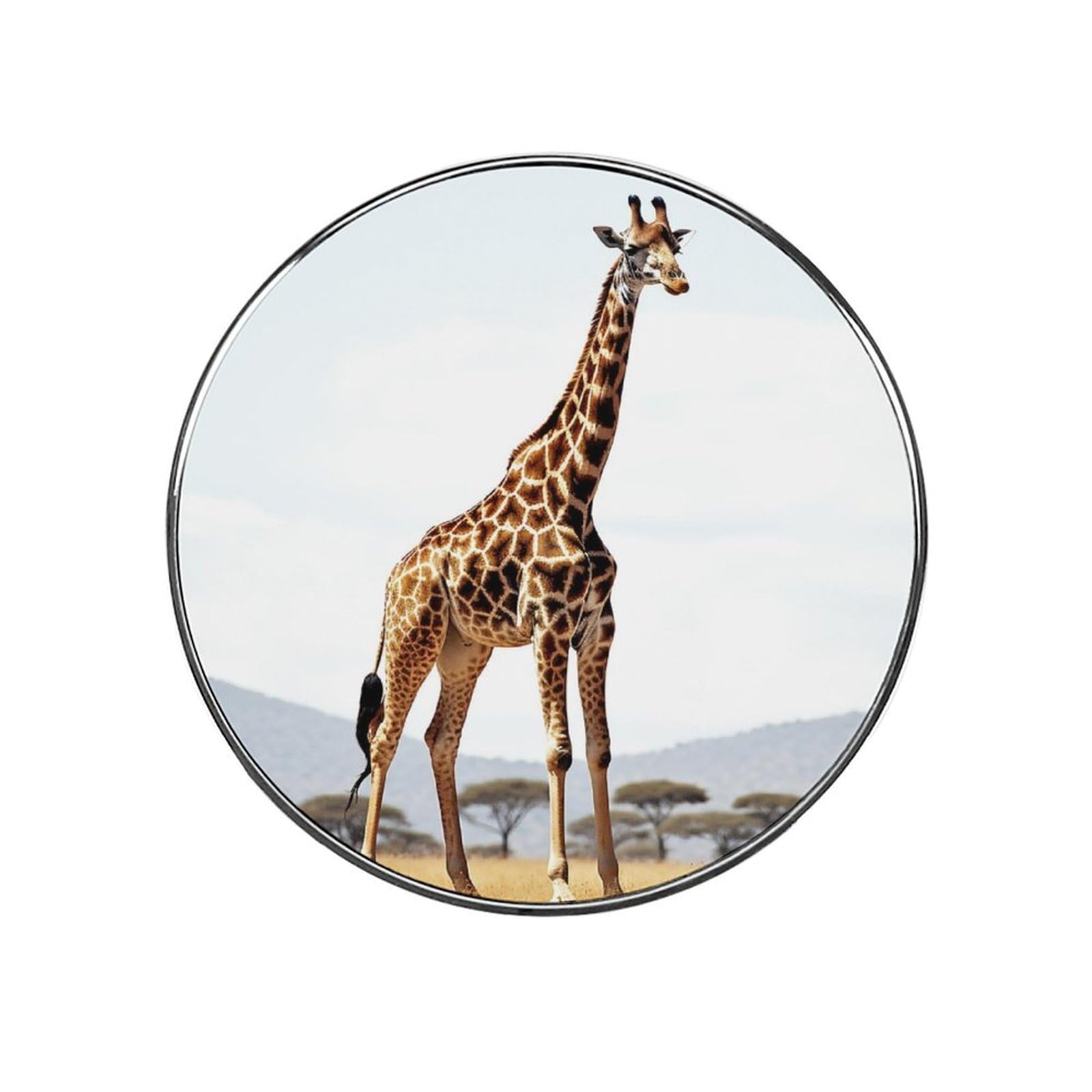 Fridge Magnets Waterproof Small Strong Magnets for Fridge African Giraffe Refrigerator Magnets Kitchen Accessories Cute Decorative Magnets for Whiteboard Locker Office Home Decor