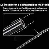 Ver la foto 7