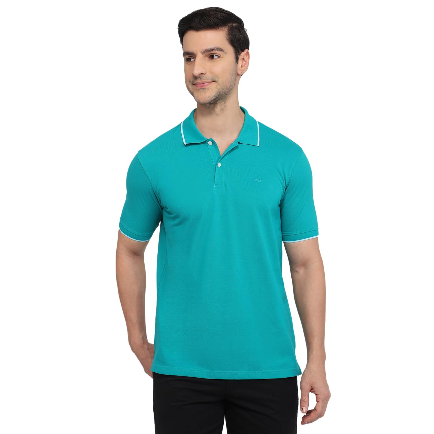 park avenue Men Slim Fit Solid Pattern Cotton Polyester Blend Half Sleeve Polo Neck Casual T-Shirt-picture-33