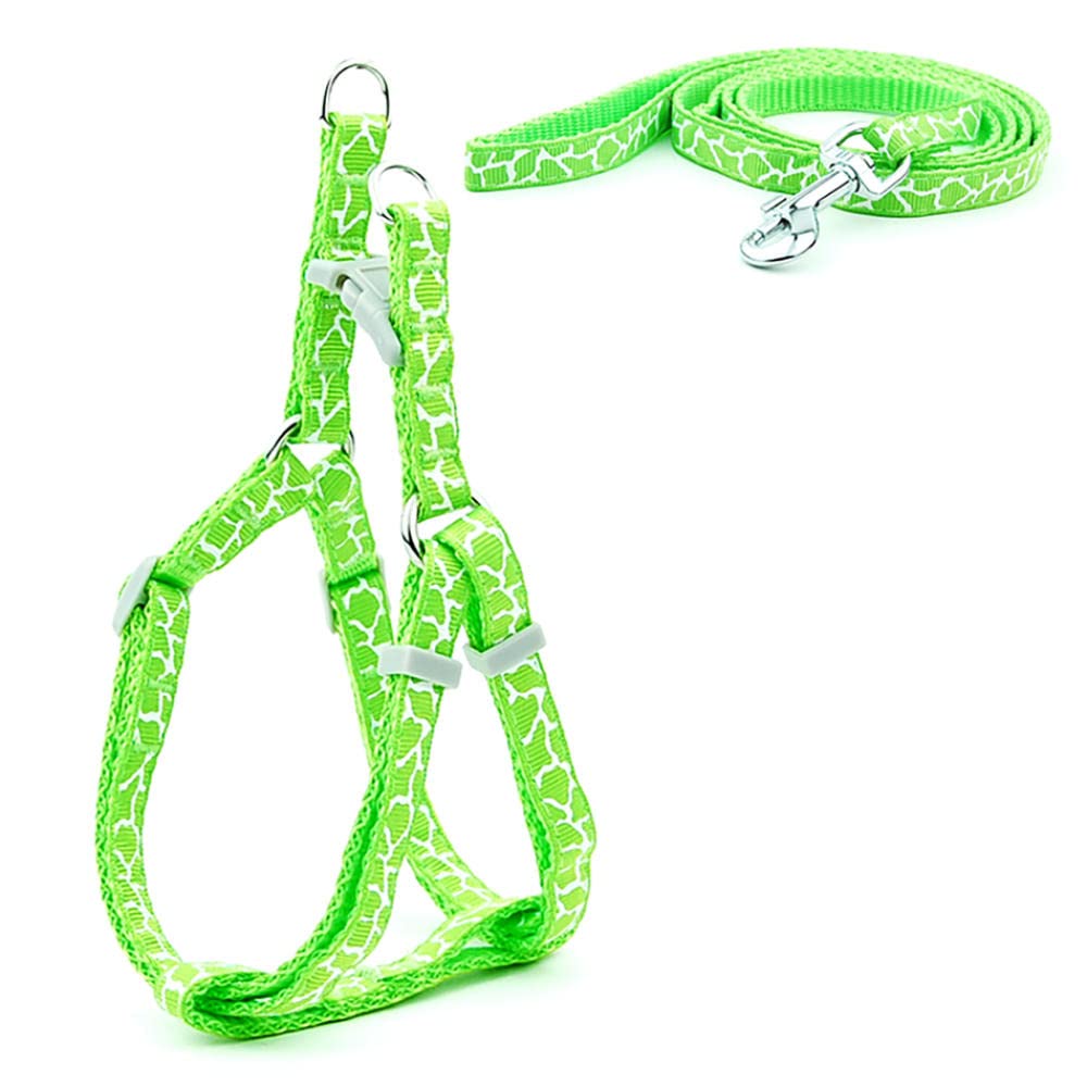 pettorina per cani, Set di guinzagli for cani, con stampa, for piccola taglia, for passeggiate gatti, 3 m(6,XS)