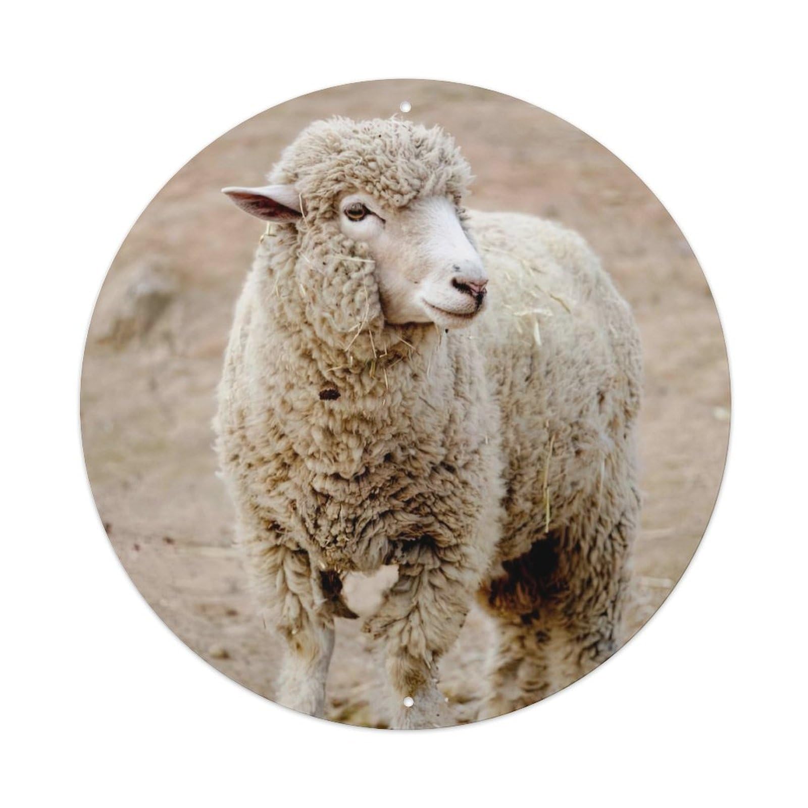 Merino Sheep Animal Vintage Metal Tin Sign Plaque Wall Decor for Cafe, Club Bar, Office, Garden Metal Poster 8x8Inch