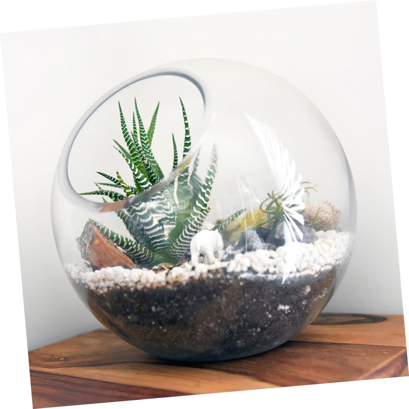 INOOMP Set da 3 Terrari in per Piante Grasse e Bromelie, Design Moderno Inclinato, Apertura Facile senza Bave, per Decorazioni Casa e Regali