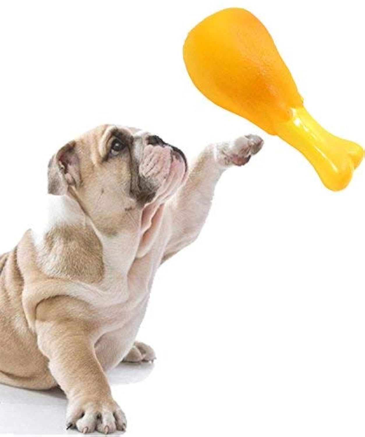 Sage Square Dog Squeaky Chicken Leg Colorful Rubber Toy for Safe Fun & Entertainment - Perfect for Dogs, Puppies, Cats & Kittens, This Toy Will Keep Your pet Engaged, stimulated & Happy