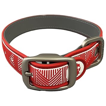 Dublin Dog Original No Stink Collar, Bacteria Free Waterproof Dog Collar for Medium Dogs, Dog Collar for Large Dogs