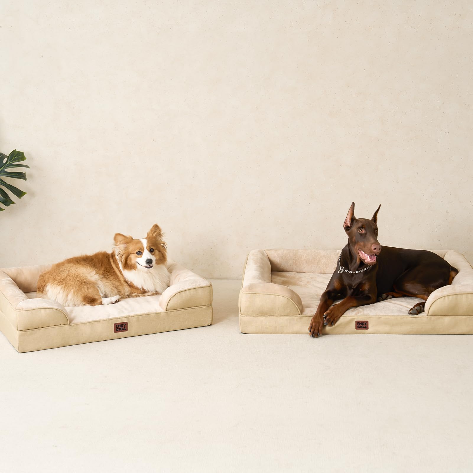 Best Sellerin Dog Beds - image 8