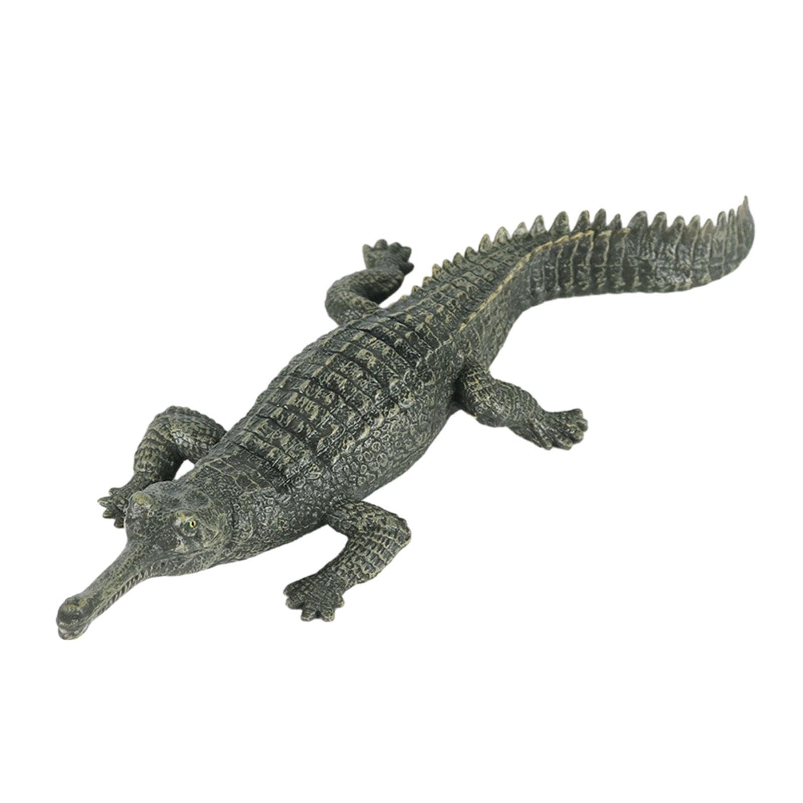Amazon.co.jp: DeeRace リアルなワニの置物リアルな動物モデル科学教育