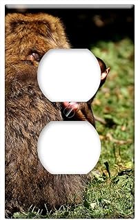 Switch Plate Outlet Cover - Ape Baby Monkey Curious Barbary Ape 2
