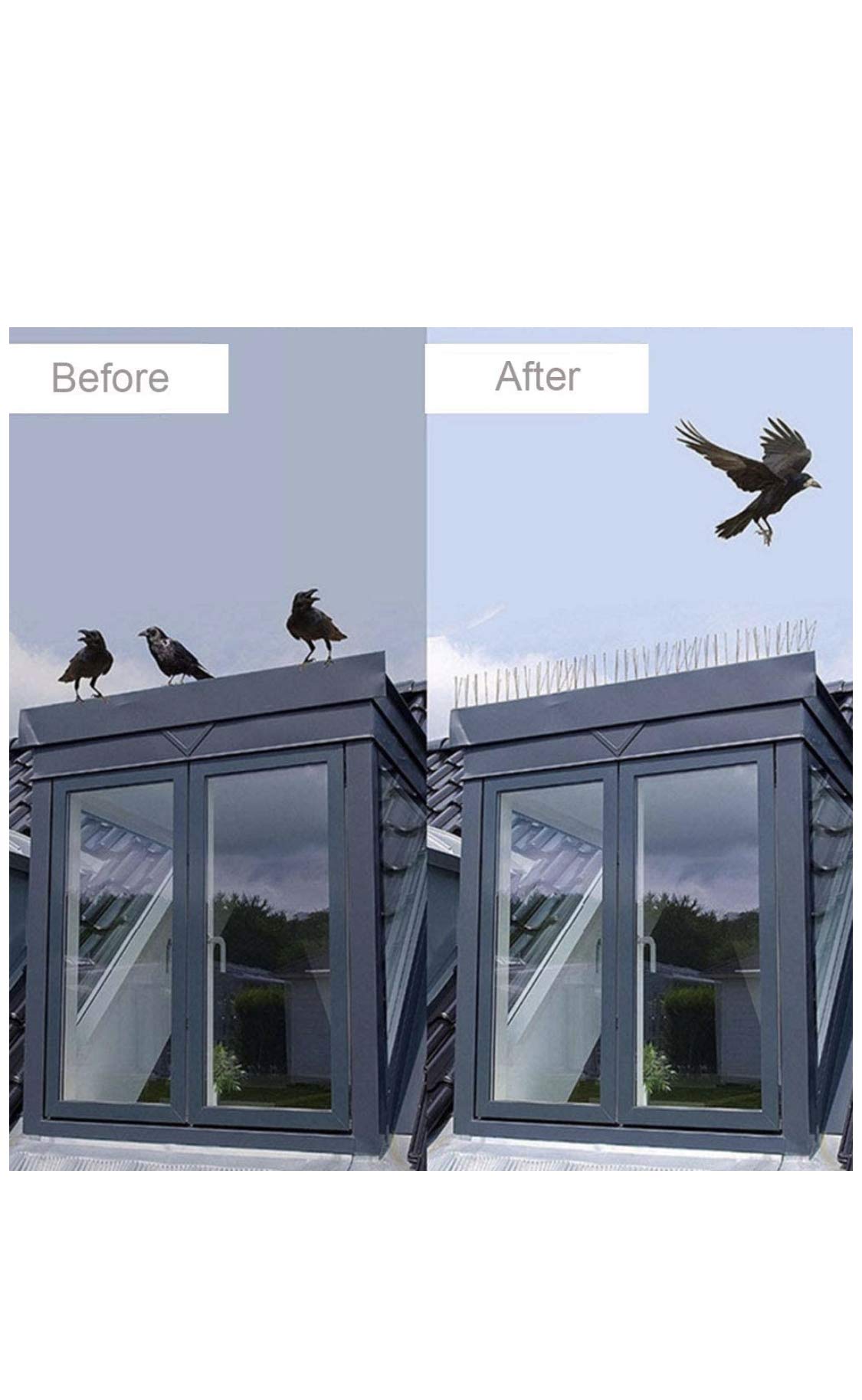 IN-OV - 6 Metres - KIT de Dissuasion pour Oiseaux, Pics Anti - Pigeons en Acier Inoxydable pour Balcon, Anti - Corbeaux, Respectueux des Animaux.