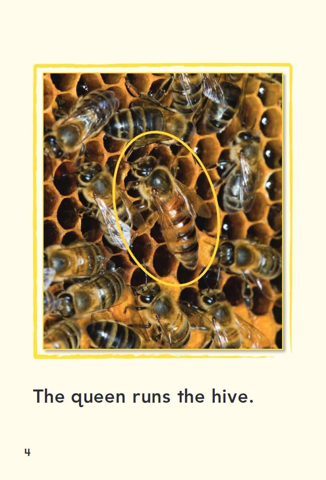 A Bee's Life (TIME FOR KIDS(r) Nonfiction Readers) - Image 4
