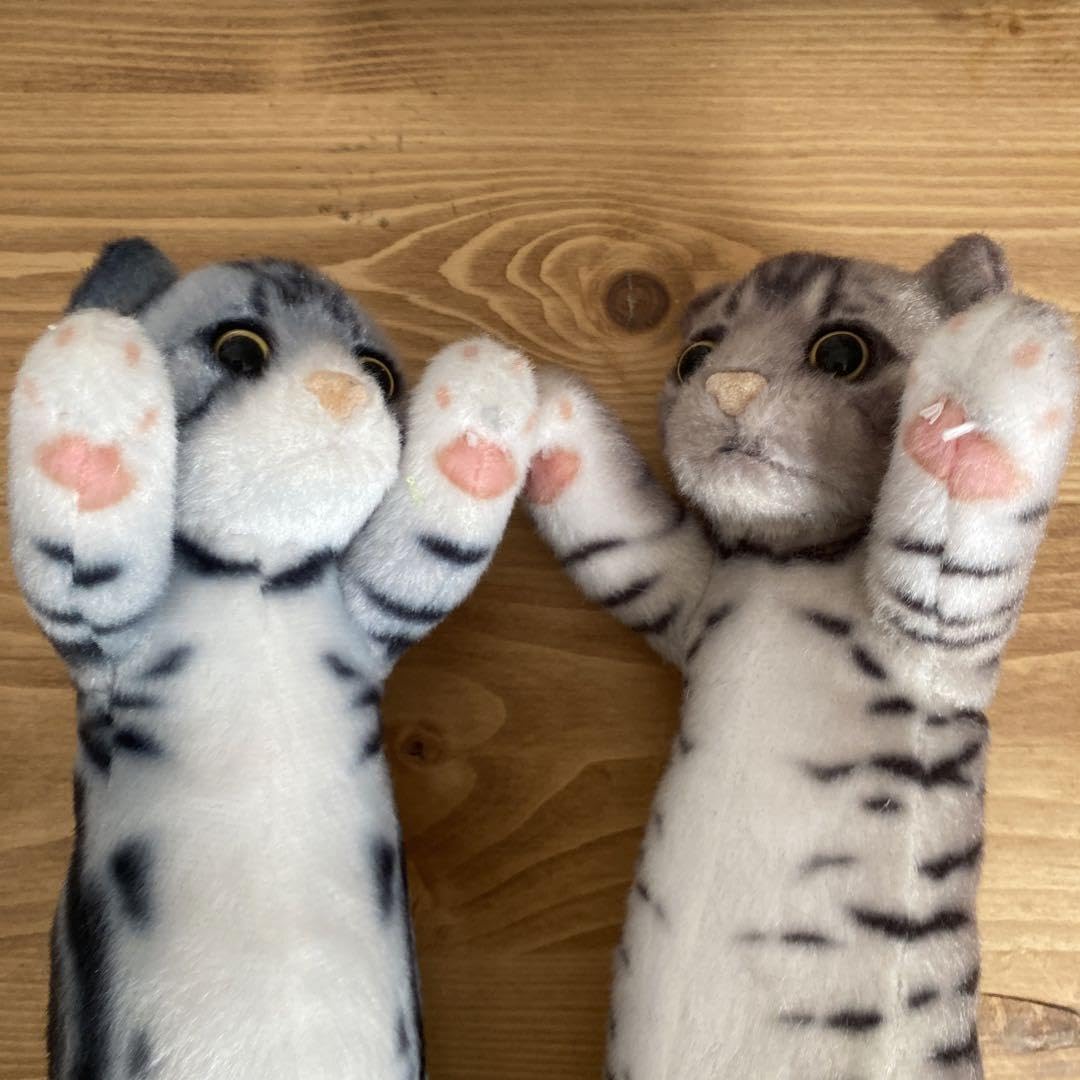 Amazon.co.jp: たっちぃ zoo 猫 ぬいぐるみ セット : おもちゃ