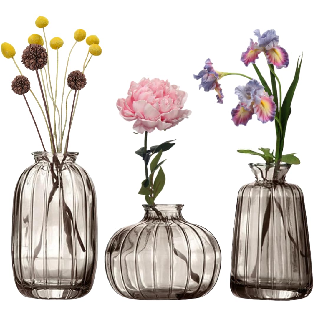 MEETOZ Glass Bud Vase Set of 3- Small Vases for Flowers Home Table Flower Decor, for Office or Wedding Events