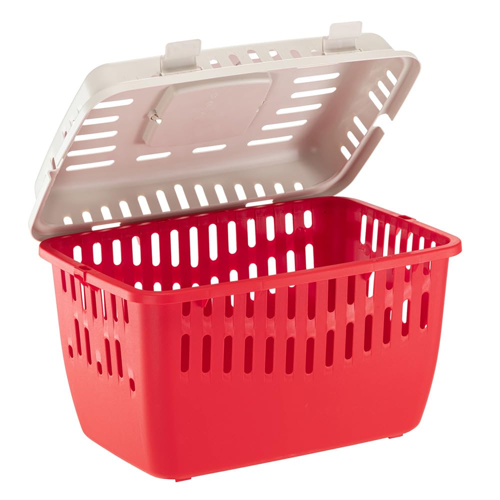 Ferplast Panier de Transport Chat Binny 1, Cage de Transport pour Chiens, Petit Chiens et Chats Max 5 Kg, Poignée Pliante