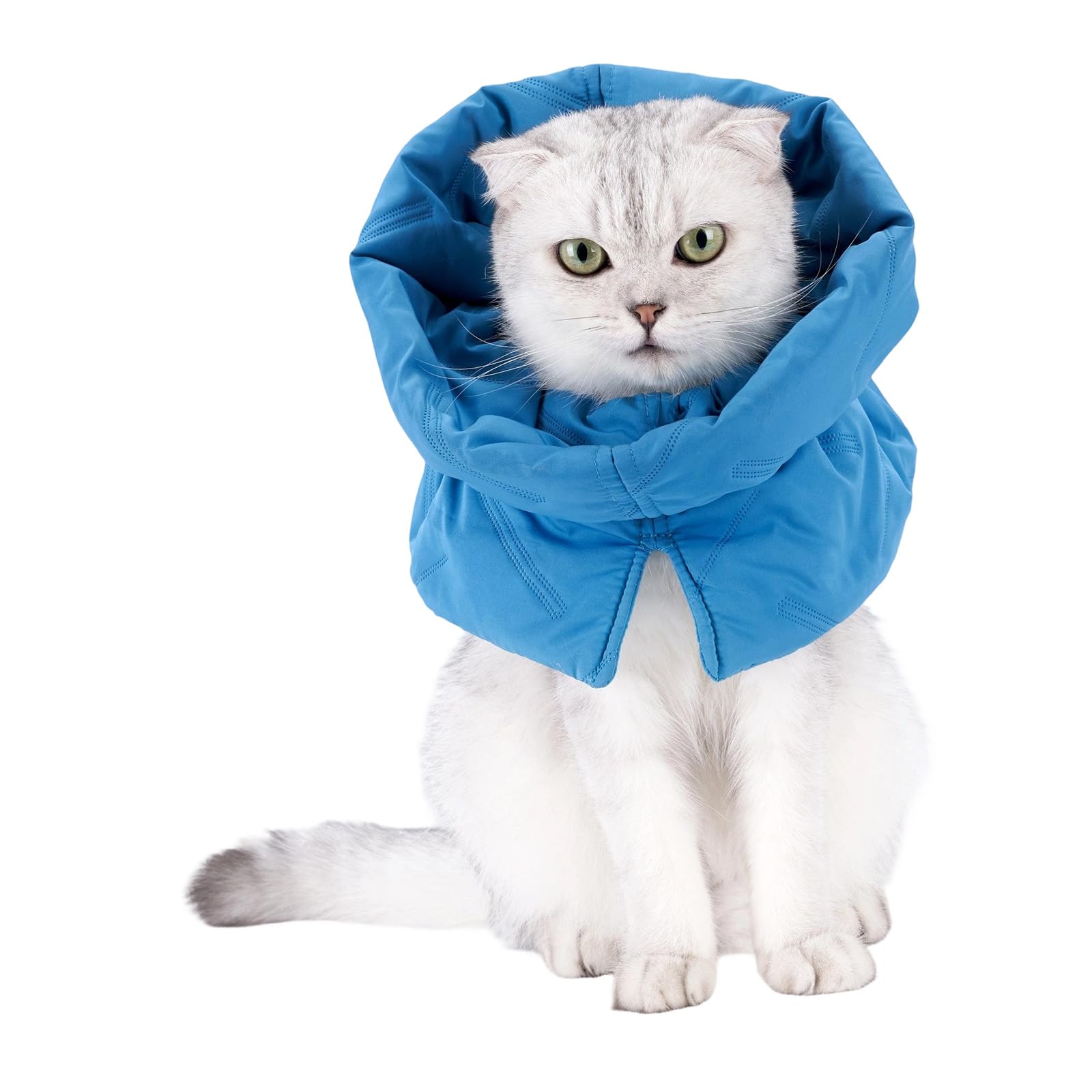 Collar de regeneracion para gatos que evita lamidos en heridas de cirugia