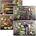 Produktbild Kalatex **NEU** 4 Stück Platzdeckchen/Malunterlage Gewürzmotive, abwaschbar (4 Stück Platzdeckchen), bunt, 209020