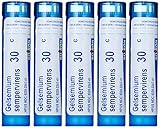 Boiron Gelsemium Sempervirens 30C, Homeopathic Medicine for Stage Fright, Apprehension and Fever (Pack of 5)