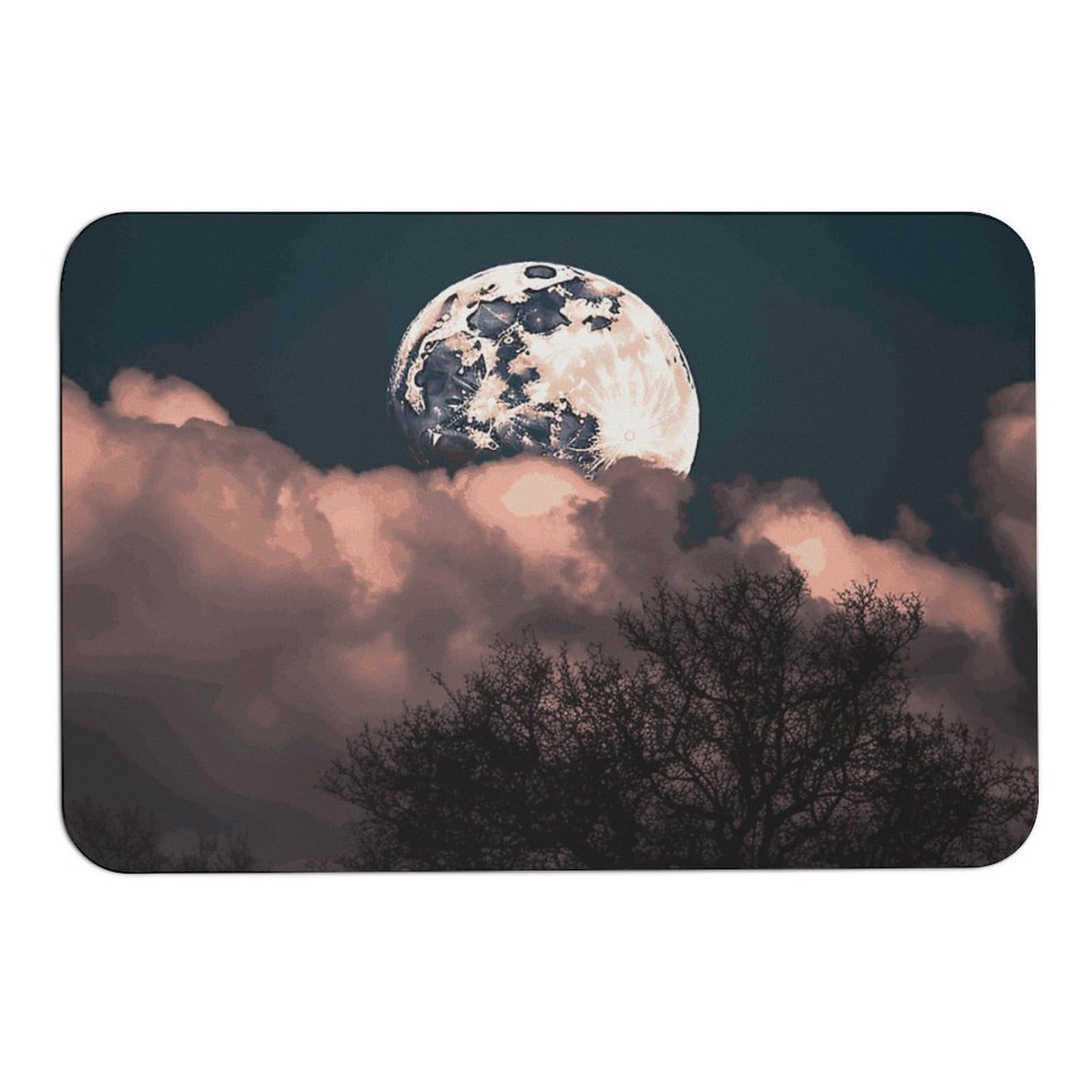 Tapis absorbant l'eau contre les sols glissants de maison