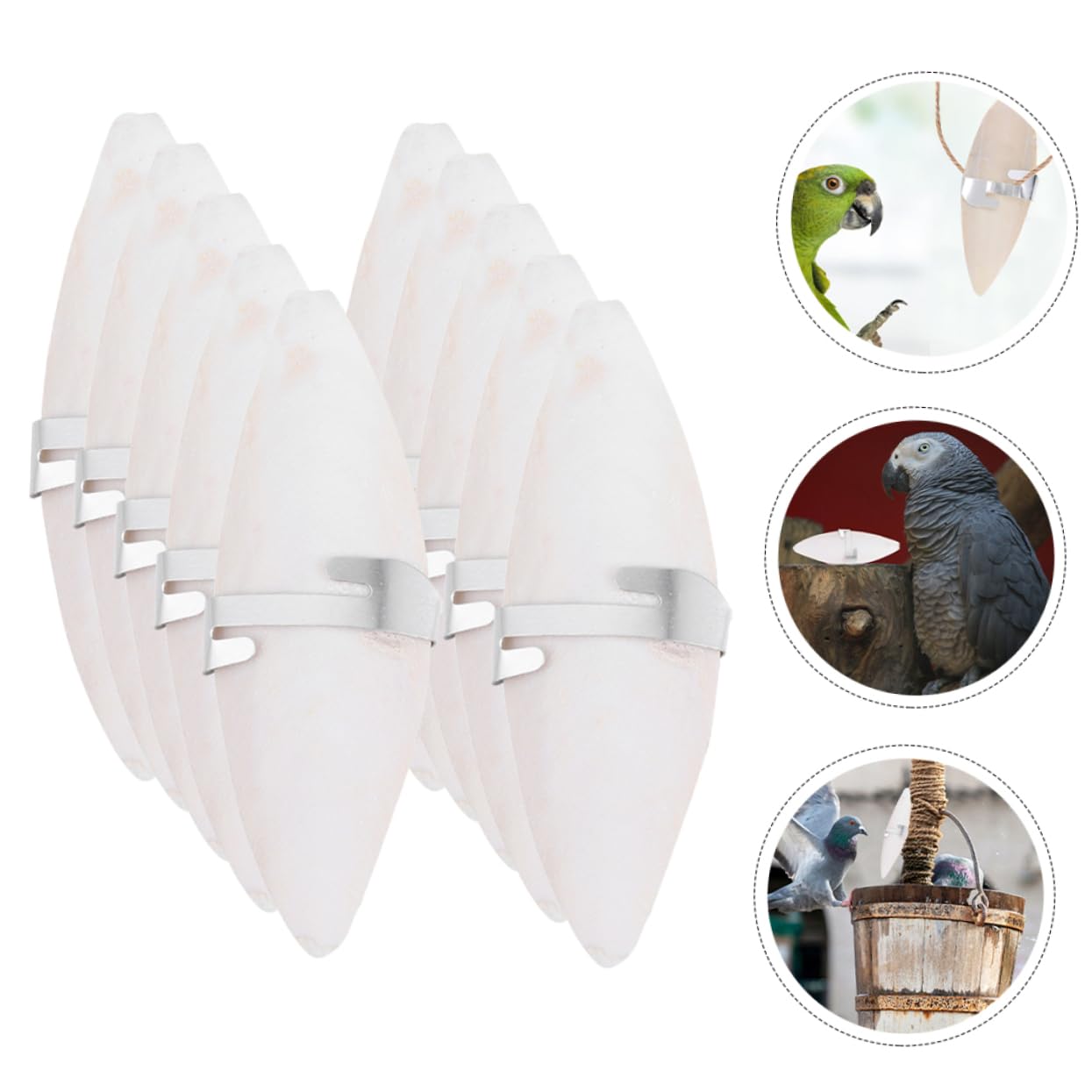 BESPORTBLE 50pièces Jouets à Mâcher pour Oiseaux Complément Calcique De Seiche pour Perruches Et Hamsters Jouets Amusants à Mâcher avec Clips De Fixation