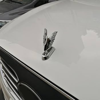 Amazon | 車用ボンネットオーナメント、金属製ボンネットオーナメント
