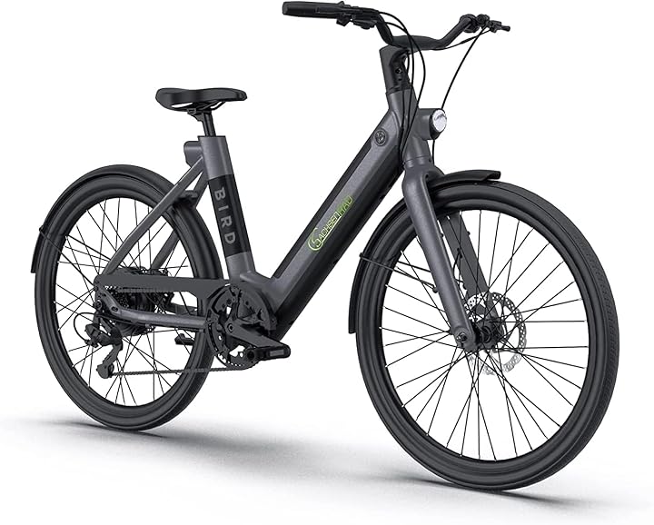 Bicicletta elettrica sachsenrad xbird urban city-bike c6f connect con app antifurto BB12217