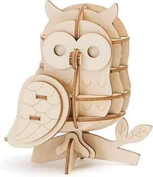 61OEkfKtziL._AC_UF350,