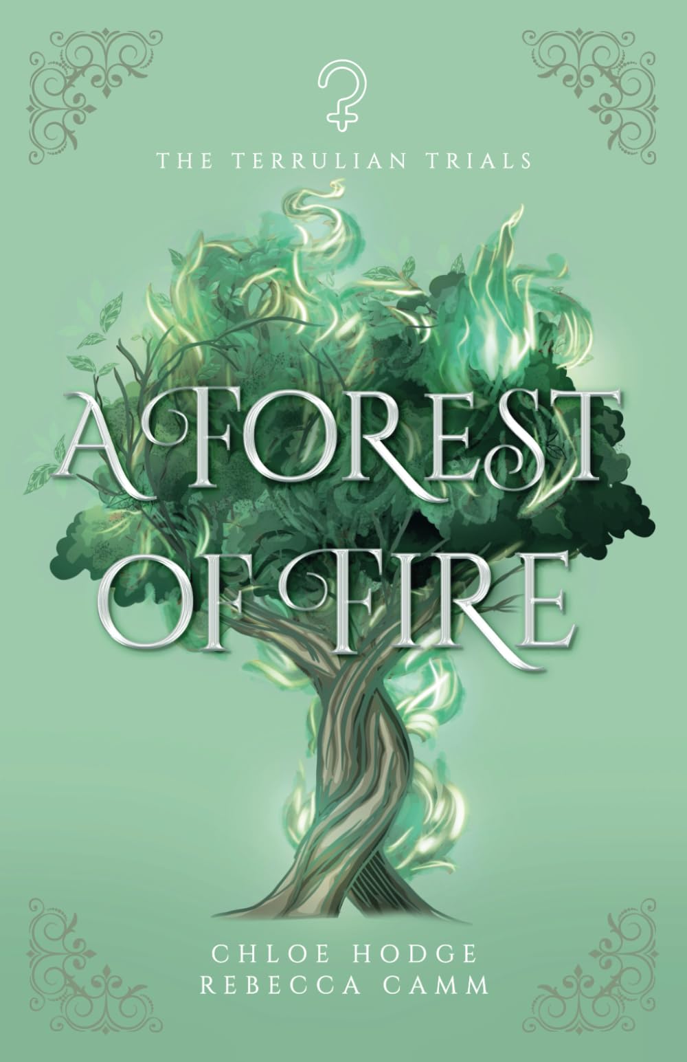 A Forest of Fire: 2 (The Terrulian Trials)