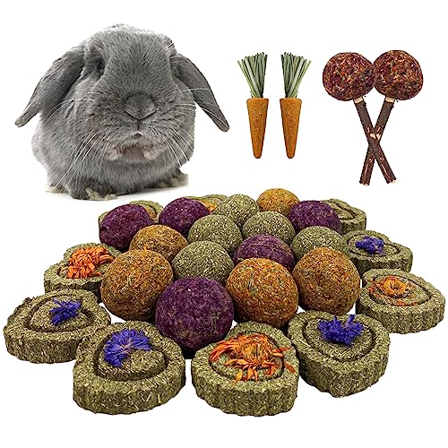 29 Paquete Juguetes Para Masticar Conejos,Hamster Conejo Masticar Juguetes,15 Timothy Grass Ball,10 Pack Timothy Hay Grass Cakes,2 Flower Lollipops,2 Carrot Chew Toys For Rabbit(Balón de hierba)