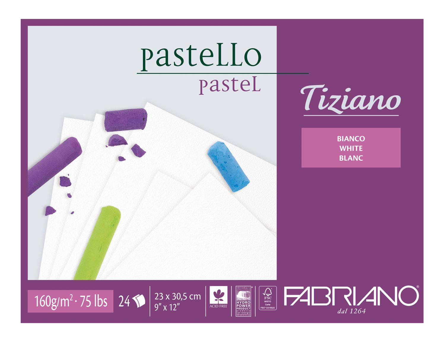 Unbekannt Fabriano 46423305 Tiziano Pastel Pad White 23.0 x 30.5 cm 24 Sheets 160 g/m2 High Rough Acid and Ageing Resistant Easy Grip Rough Surface 23 x 30.5 cm