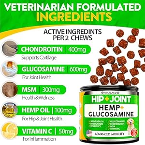 Hemp-Hip-and-Joint-Supplement-for-Dogs-Glucosamine-for-Dogs-170-Dog-Joint-Pain-Relief-Treats-Chondroitin-Hemp-Oil-MSM-Mobility-Flexibility-Support-Advanced-Joint-Health-Made-in-USA - Cucciolini Doodles   Hemp-Hip-and-Joint-Supplement-for-Dogs-Glucosamine-for-Dogs-170-Dog-Joint-Pain-Relief-Treats-Chondroitin-Hemp-Oil-MSM-Mobility-Flexibility-Support-Advanced-Joint-Health-Made-in-USA