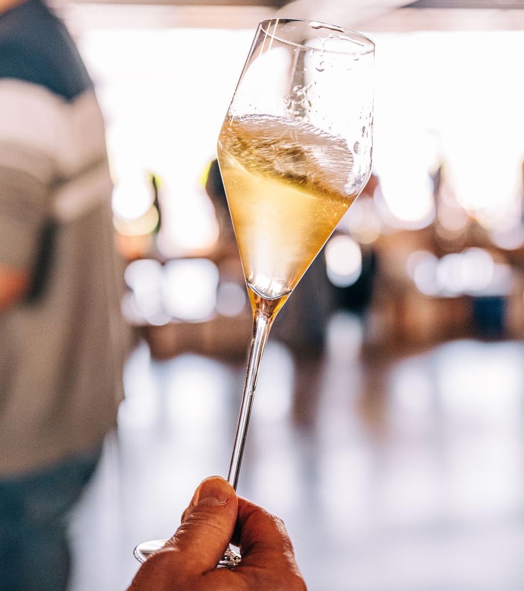 Zalto Denk'Art Champagne Glass Hand-Blown Crystal - Boxed Set of 6