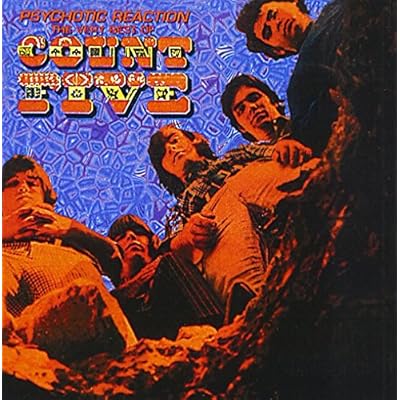 Psychotic Reaction-Very Best O