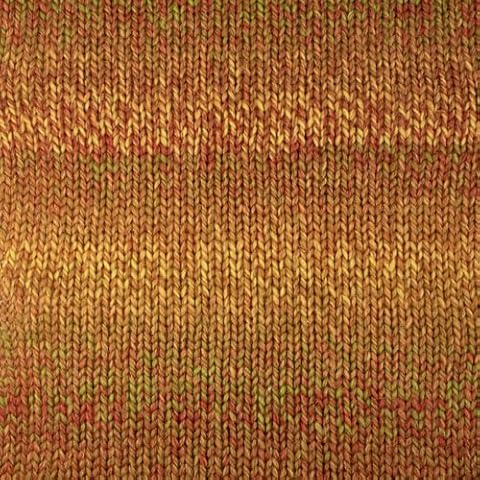 West Yorkshire Spinners Re:Treat Twist Chunky 1221 Harvest Cover