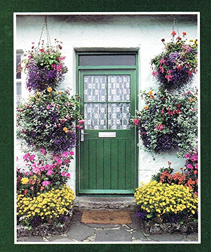 Hanging Baskets, Window Boxes and Containers