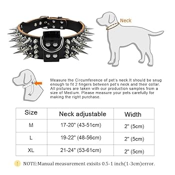 PET ARTIST 2