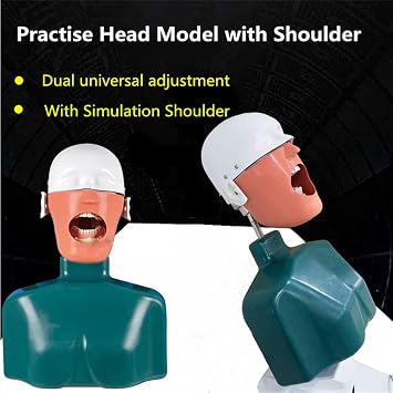 Teaching tools,Dental Manikin with Torso, Dental Simulator Unit, Dental Phantom Head Model Bench Mount for Dentist Education