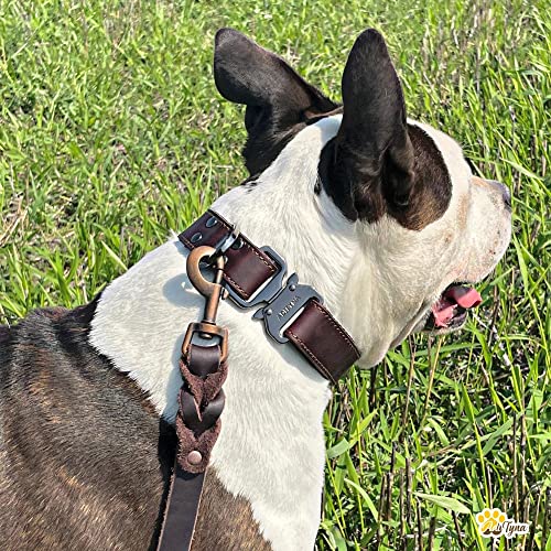Adityna Leather Dog Collar With Metal Buckle - Tactical Leather Dog Collar For Medium And Large Dogs - Heavy Duty, Adjustable Dog Collar For Training And Walking (15" - 21", Brown) #TOP2