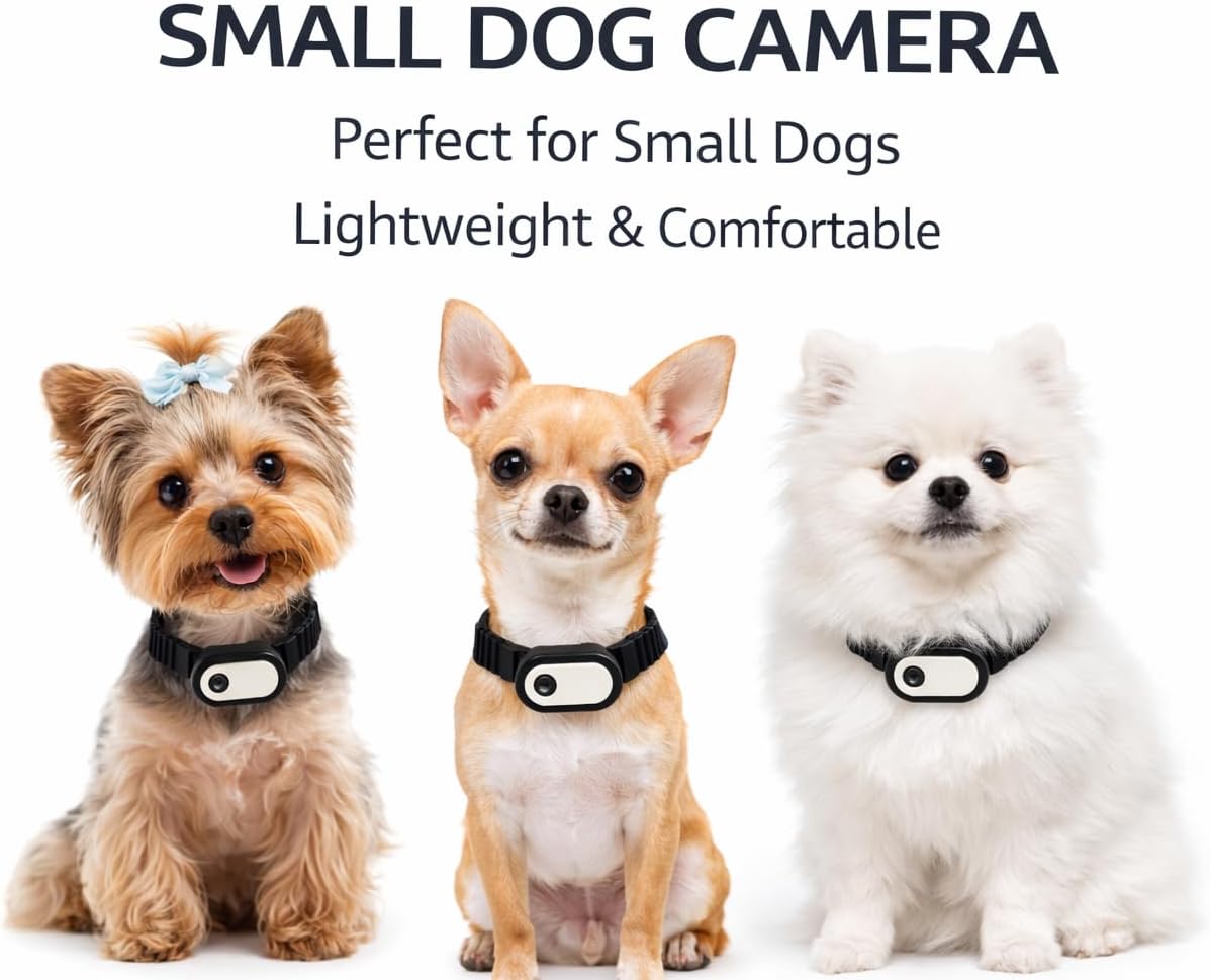 Dog Collar Camera 1080P HD – Dog POV Camera with 170° Wide Angle Lens, Mini Action Camera for Dogs, Video Recording with Micro SD Card, Lightweight Pet Body Cam (No WiFi)