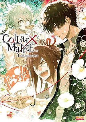 Amazon.co.jp: DIABOLIK LOVERS ILLUSTRATIONS II (B's-LOG COLLECTION