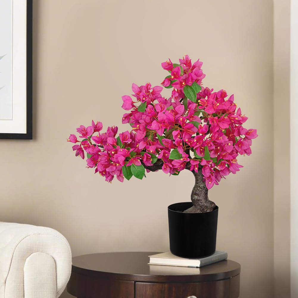 Amazon.com: Briful Artificial Bougainvillea Flower Plant 20.8" Bougainvillea  Bonsai Tree with Black Pot Silk Bougainvillea Floral Centerpiece for Home  Office Dining Table Shelf Bathroom Decor(Hot Pink) : Home & Kitchen