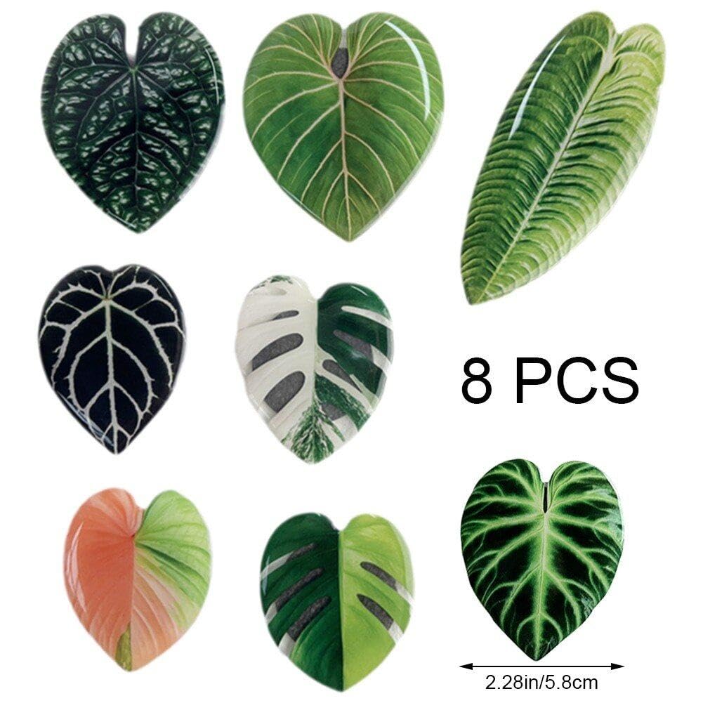 Amazon.co.jp: 冷蔵庫マグネット かわいい モンステラ 葉っぱ形状